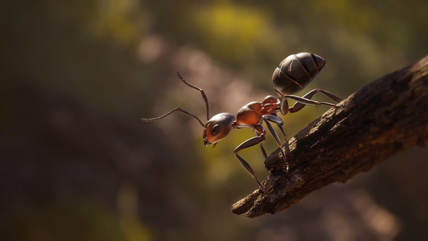 Empire of the Ants – Análisis