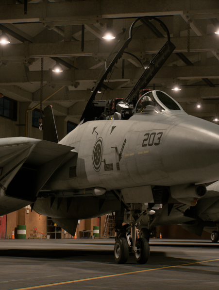 Multijugador ace combat 8