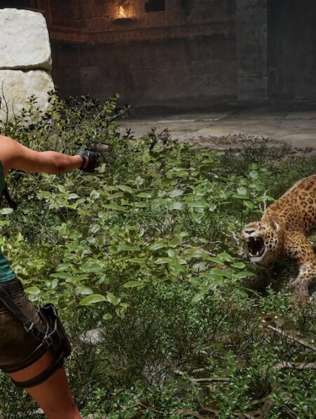 Tomb Raider