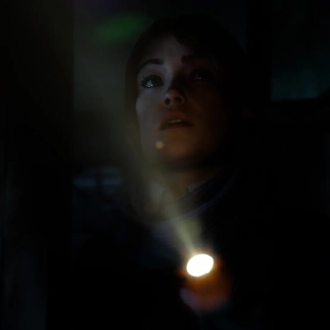 Until Dawn 2