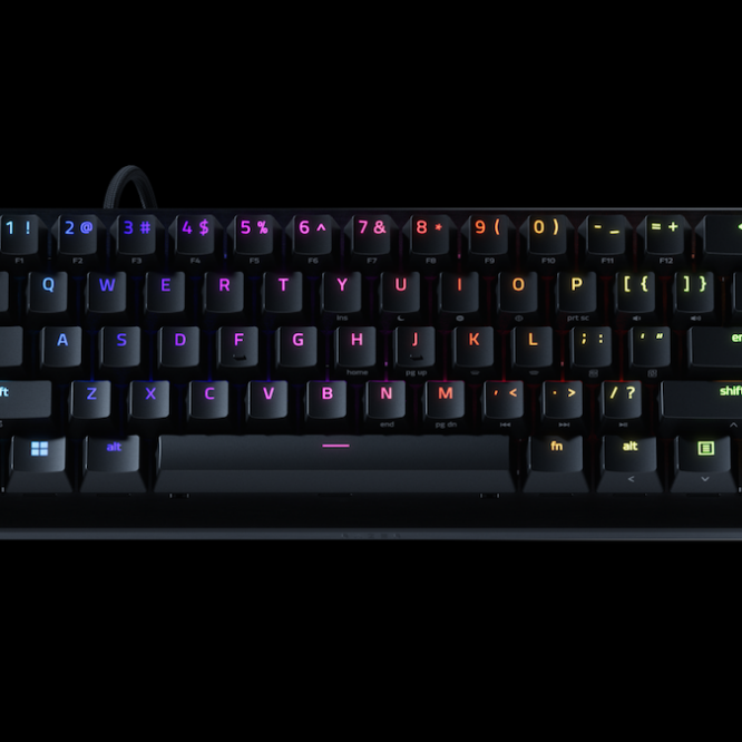 Huntsman V3 Pro Mini 8KHz